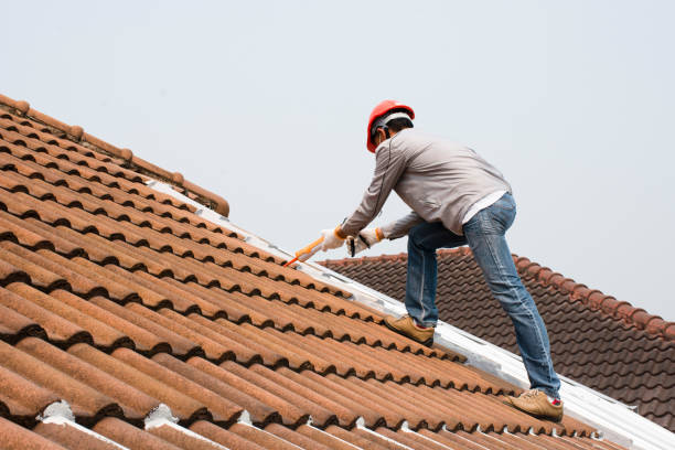 Best Skylights  in Mission, OR